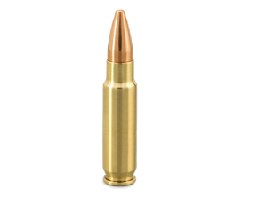 FN GUNR SS201 5.7X28MM